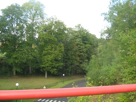 044-IMG_2465.JPG.medium.jpeg