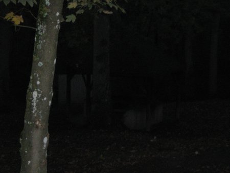 054-IMG_2477.JPG.medium.jpeg