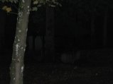 054-IMG_2477.JPG.small.jpeg