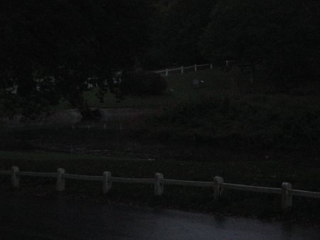 057-IMG_2481.JPG.medium.jpeg
