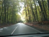 067-IMG_2492.JPG.small.jpeg