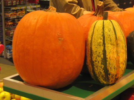 077-IMG_2502.JPG.medium.jpeg