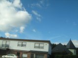 100-IMG_2528.JPG.small.jpeg