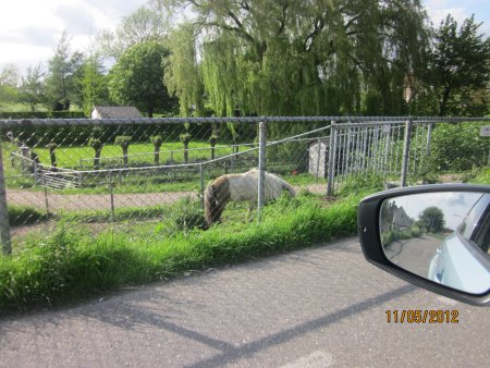 057-IMG_1394.JPG.medium.jpeg